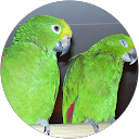 Suzanne Van Mullem Suzanne Van Mullem