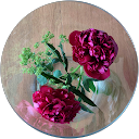 Manon Hermann Manon Hermann