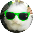 Gerhard Aschauer Gerhard Aschauer